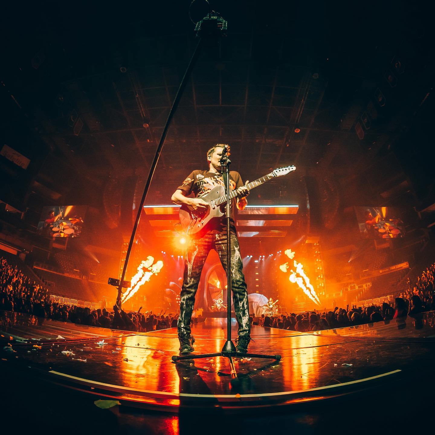Muse
